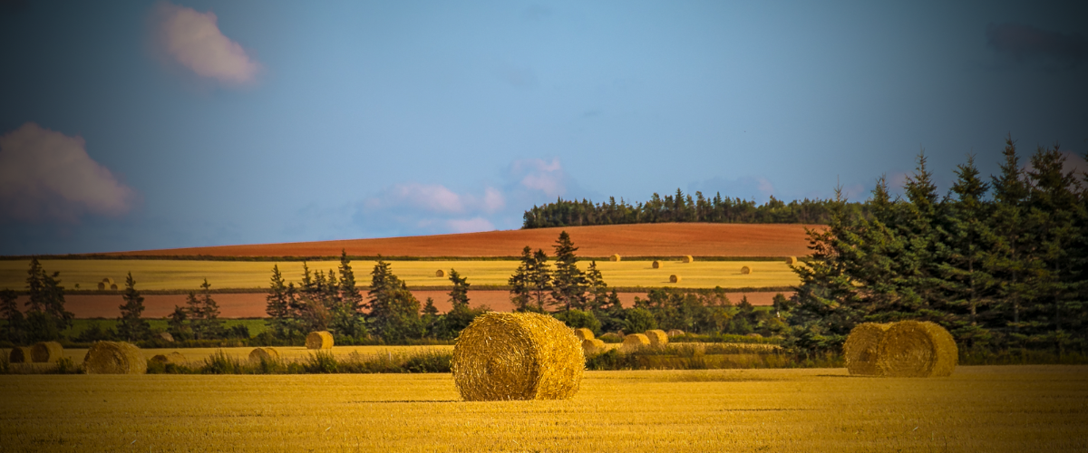 PEI Farm 1200x500v
